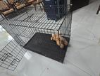 Dog Cage - Foldable
