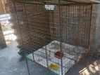Dog Cage