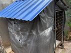 Dog Cage