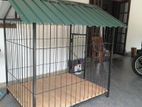 Dog Cage