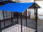 Dog Cage