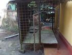 Dog Cage