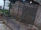 Dog Cage