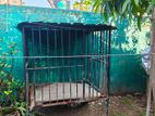 Dog Cage