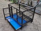 Dog Cage