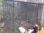 Dog Cage