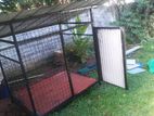 Dog Cage