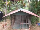 Dog Cage
