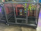 Dog Cage