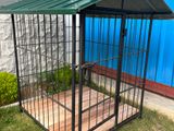 Dog cage