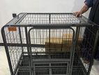 Dog Cage