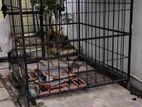 Dog Cage