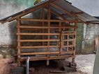 Dog Cage