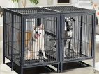 Dog Cage