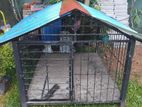 Dog Cage