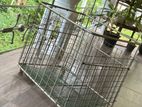 Dog Cage