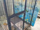 Dog Cage