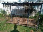 Dog Cage