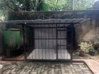 Dog Cage