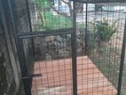Dog Cage