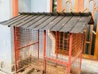 Dog Cage