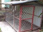 Dog Cage