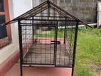 Dog Cage