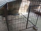 Dog Cage