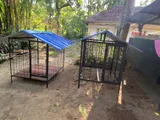 Dog Cage