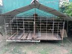 Dog Cage