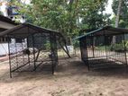 Dog Cage