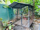 Dog Cage
