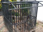Dog Cage