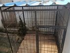 Dog Cage