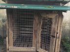 Dog Cage