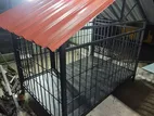 Dog Cage