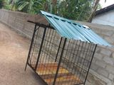 Dog Cage