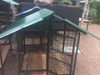 Dog Cage