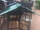 Dog Cage