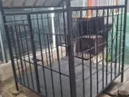 Dog Cage
