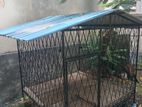 Dog Cage