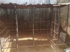 Dog Cage