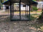 Dog Cage