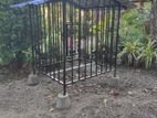 Dog Cage