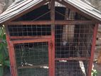 Dog Cage
