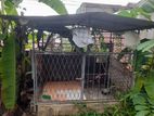 Dog Cage