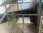 Dog cage