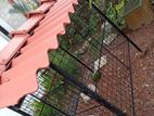 Dog Cage