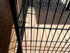 Dog Cage