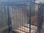 Dog Cages